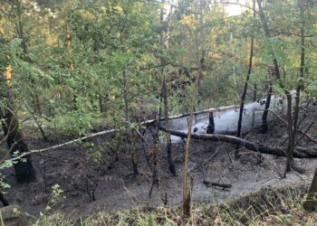 Bild: Blaulichtreport Lausitz