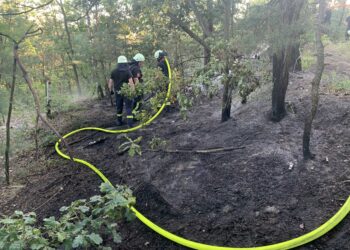 Bild: Blaulichtreport Lausitz