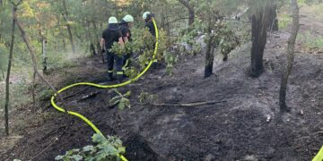 Bild: Blaulichtreport Lausitz