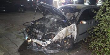 PKW Brand in Cottbus-Sachsendorf