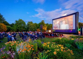 Open-Air-Kino im Spreeauenpark. Countdown für Filmnächte Cottbus