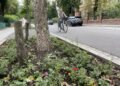Bild: Stadt Cottbus
