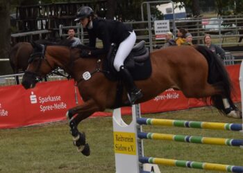 Reitverein Sielow räumt bei der Kreismeisterschaft ab