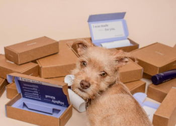 Verpackungsmaterial günstig kaufen und effizient nutzen