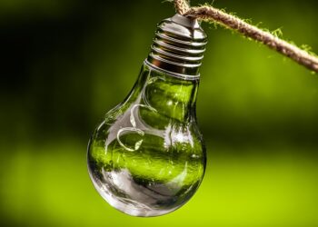 Nachhaltigkeitsbericht für Unternehmen: Sinnvoll oder Verschwendung?