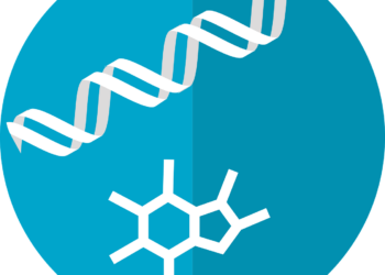 Alles zum Thema Stoffwechsel