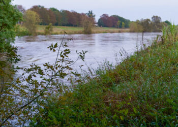 Neiße-Pegel sinkt: Hochwasser-Lage in Forst entspannt sich