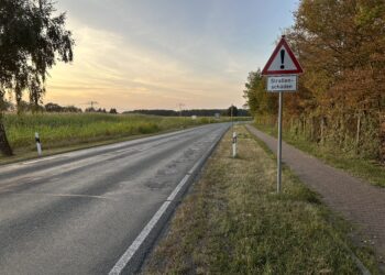 Kreisstraße am Lübbenauer Gewerbegebiet wird unter Vollsperrung saniert