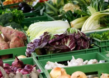 Cottbuser Wochenmarkt weicht Töpfermarkt. Neuer Standort am Samstag