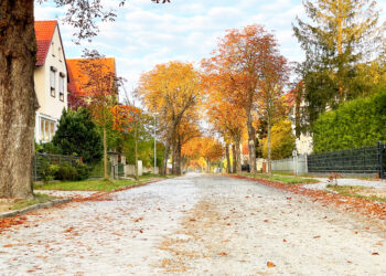 Kostenfreie Laubcontainer in Lübben sollen Herbstarbeit erleichtern