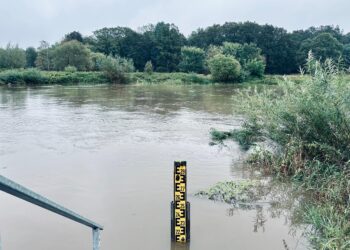 Hochwassergefahr an Neiße in Forst: Erste Sperrungen und Maßnahmen