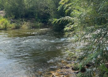 Hochwassergefahr an Neiße in Forst: Erste Sperrungen und Maßnahmen