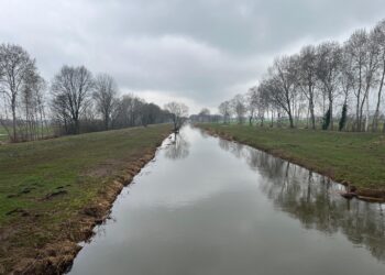 Hochwassersituation in Elbe-Elster: Lage an Schwarzer Elster entspannt