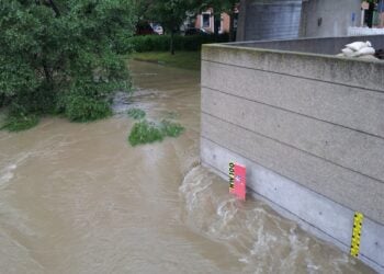Aktuelle Pegel: Hochwasserwarnung Elbe, Spree, Neiße & Schwarze Elster