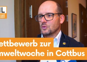 Umweltwoche in Cottbus. Kitas zum Insektenschutz-Wettbewerb aufgerufen
