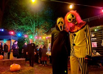 Parkeisenbahn Cottbus lädt wieder zu Halloweenfahrten