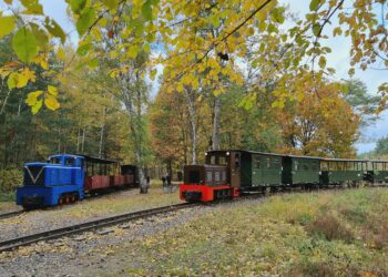 Waldeisenbahn Muskau 