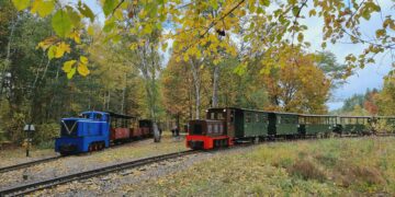 Waldeisenbahn Muskau 