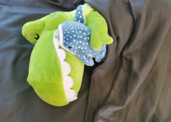 Magische Nacht für Kuscheltiere: Übernachtungsparty in Bibliothek Guben