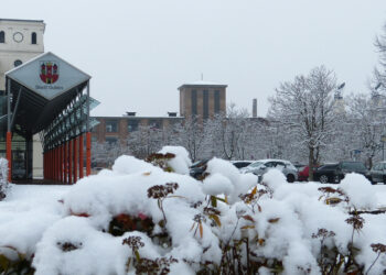 Gubener Adventskalender öffnet zum 15. Mal seine 24 Türchen