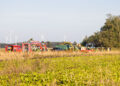 Bild: Blaulichtreport Lausitz