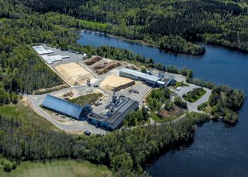 LEAG kauft schwedischen Pelletproduzenten Scandbio