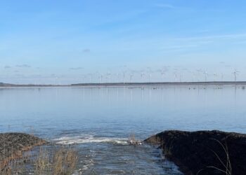 Cottbuser Stadtverordnete stimmen für Seewasserwärmepumpe im Ostsee