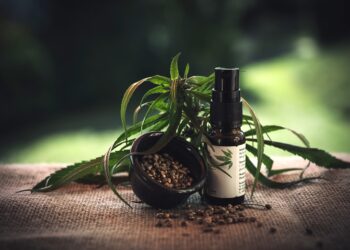 Vielfältige Vorteile von CBD-Produkten & deren Anwendungsmöglichkeiten