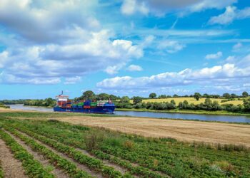 Regionalisierung der Lieferketten: Lösung für globale Unsicherheiten?
