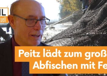 Frischer Karpfen! Peitz lädt zum großen Abfischen am Hälterteich