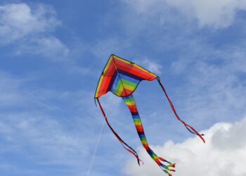 Herbstzauber: Drachenfest lockt in den Schlosspark Lauchhammer