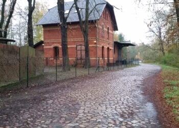 Lückenschluss am Radweg Groß Kölzig: Arbeiten starten noch im Oktober