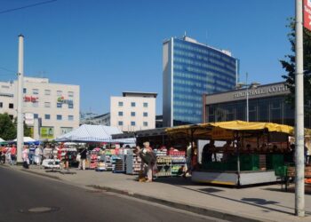 Cottbuser Wochenmarkt lädt am Freitag zum Schlachtefest