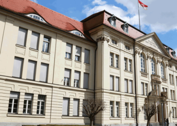 SPD und BSW in Brandenburg vor Koalitionsverhandlungen