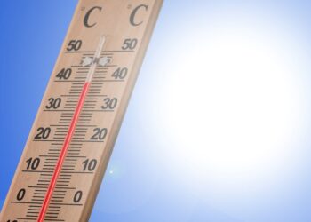 Die nächste Hitzewelle kommt bestimmt: Wie kann man sich wappnen?