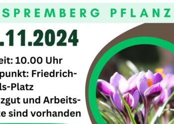 Für ein blühendes Frühjahr: Spremberg lädt zur Pflanzaktion