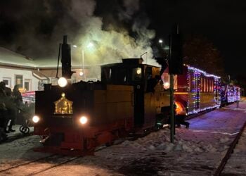 Parkeisenbahn Cottbus 