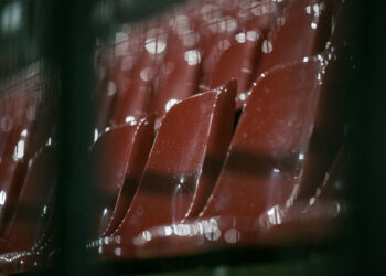 Bild: Christiane Weiland