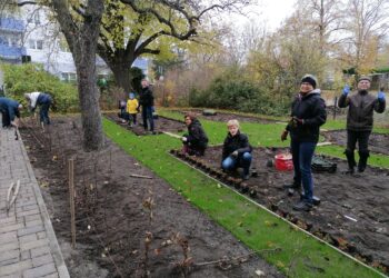 Neugestalteter ‚Paradiesgarten‘ der Cottbuser Lutherkirche bepflanzt