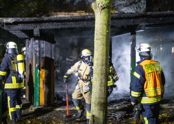 E-Scooter setzte Schuppen in Lübbenau in Brand. Hoher Sachschaden