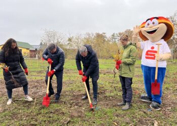 Pflanzaktion der Sparkasse Spree-Neiße: 1.500 neue Bäume für Branitz