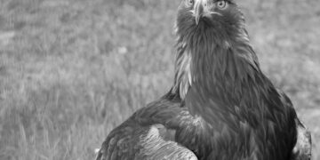 Bild: Stefanie Jürß / Zoo Hoyerswerda