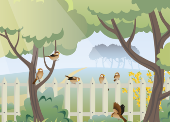 Raumplanung leicht gemacht: So finden Sie die perfekte Möbelanordnung