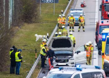 Autounfall auf der A15 bei Cottbus. Fahrerin ins Krankenhaus gebracht