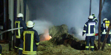 Bild: Blaulichtreport Lausitz