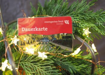 Rosengarten Forst: Dauerkarten für 2025 ab sofort erhältlich