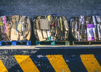 Mit diesen 5 Tipps können Sie effektiv Papier sparen