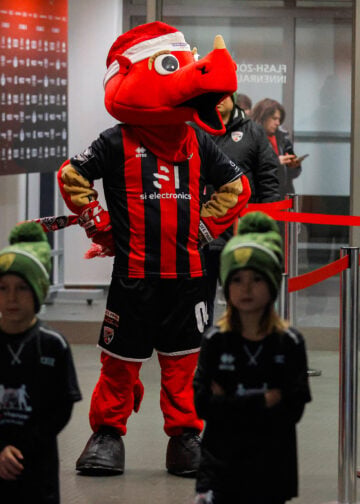 FC Ingolstadt - FC Energie Cottbus; Foto: Steve Seiffert
