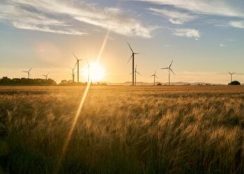 Nachhaltigkeit in der Niederlausitz: Projekte für erneuerbare Energien