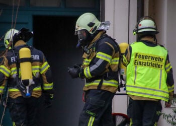 Katze bei Brand in Peitz ums Leben gekommen. Bewohner verletzt